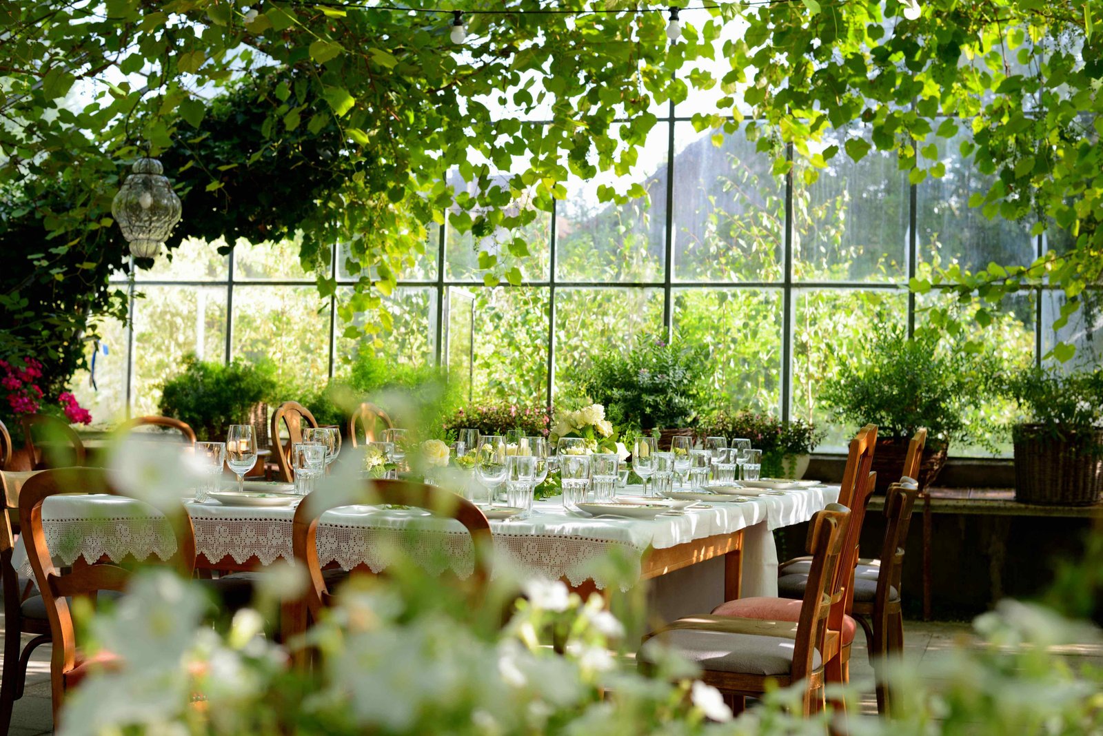 Jardín principal de Finca Isabela