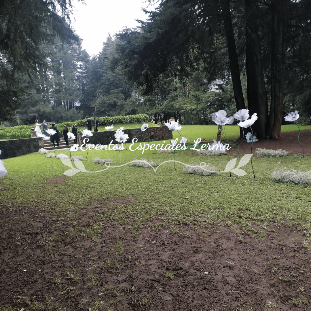 Imagen del evento Evento en Bosque – Finca San Gabriel